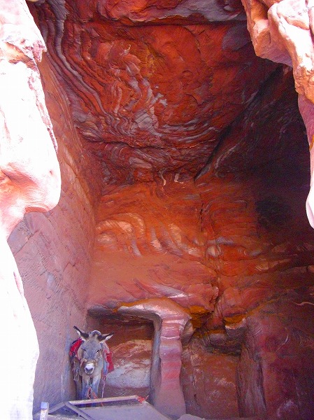 マーブル模様の赤い岩窟墓跡にたたずむロバの画像