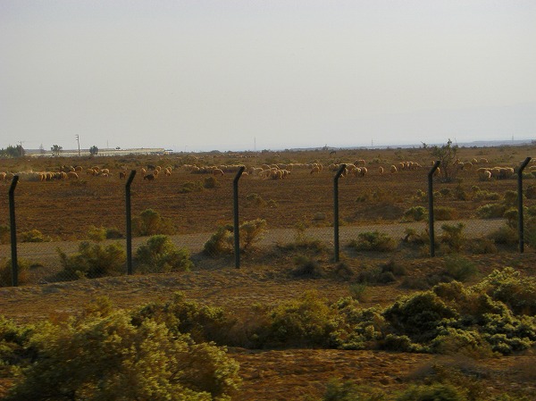 イスラエルとの停戦合意エリア−ヨルダン・イスラエル間の国境：ヨルダン・シリア写真画像集