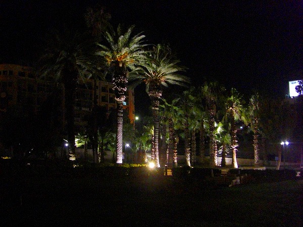 ダマスカス−夜の公園：ヨルダン・シリア写真画像集