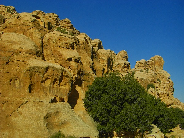 ペトラ近く・人の顔に見える岩：ヨルダン・シリア写真画像集