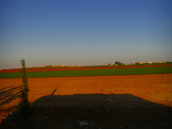 アホムスからクラック・デ・シュバリエへ向かう道・広がる草原：ヨルダン・シリア写真画像集