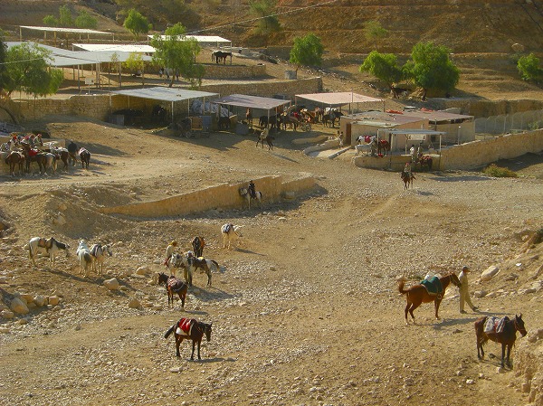 ヨルダンのノア王妃により建設された馬のクリニック：ヨルダン・シリア写真画像集